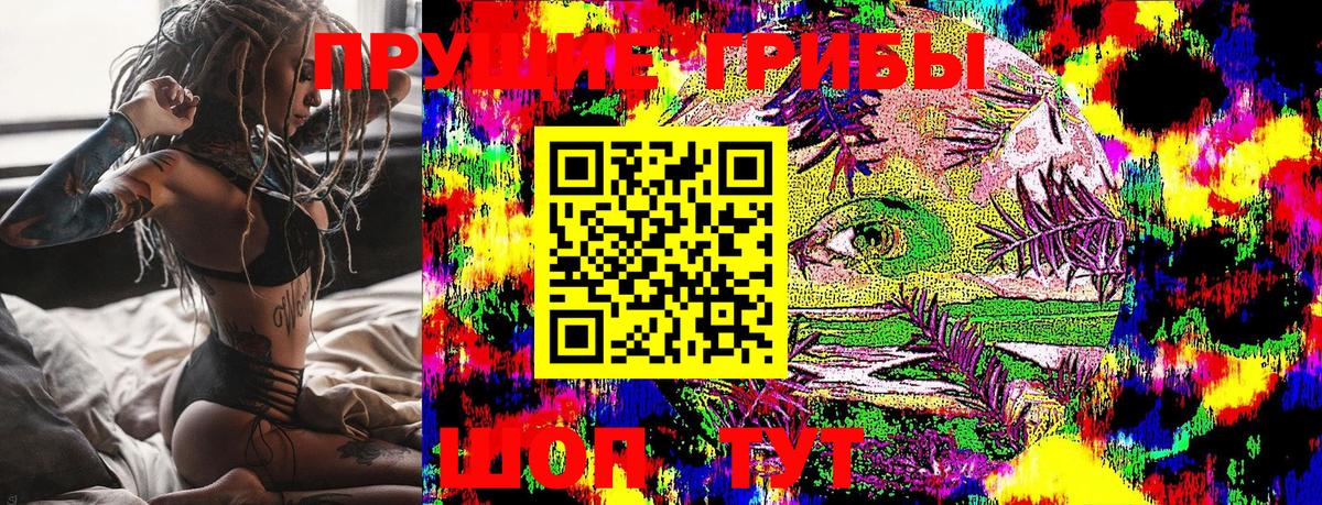 Сунжа  Галлюциногенные грибы GOLDEN TEACHER  Галлюциногенные грибы Psilocybe  Вход с VPN 