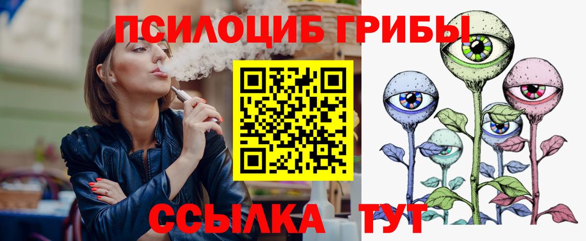 Галлюциногенные грибы Psilocybine cubensis Сунжа