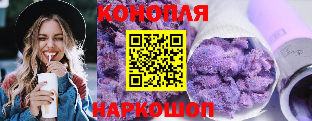 Шишки марихуана планчик  Вход с VPN  Конопля THC 21%  Сунжа  Бошки Шишки индика 